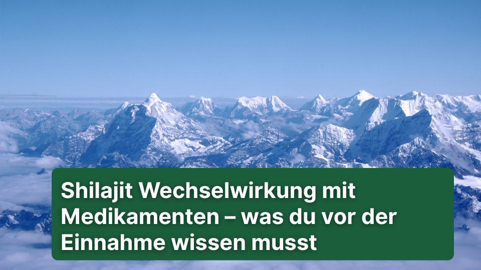 Shilajit Wechselwirkung mit Medikamenten – was du vor der Einnahme wissen musst