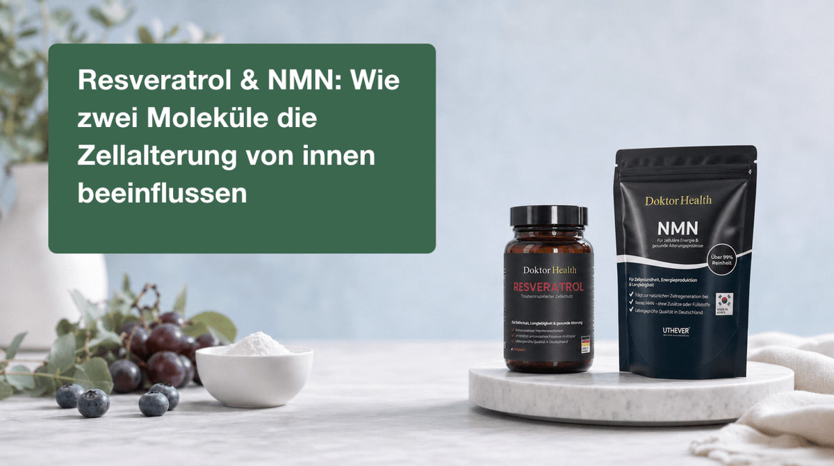 Resveratrol & NMN: Wie zwei Moleküle deine Zellen erneuern – und wie du jung bleibst - Doktor Health