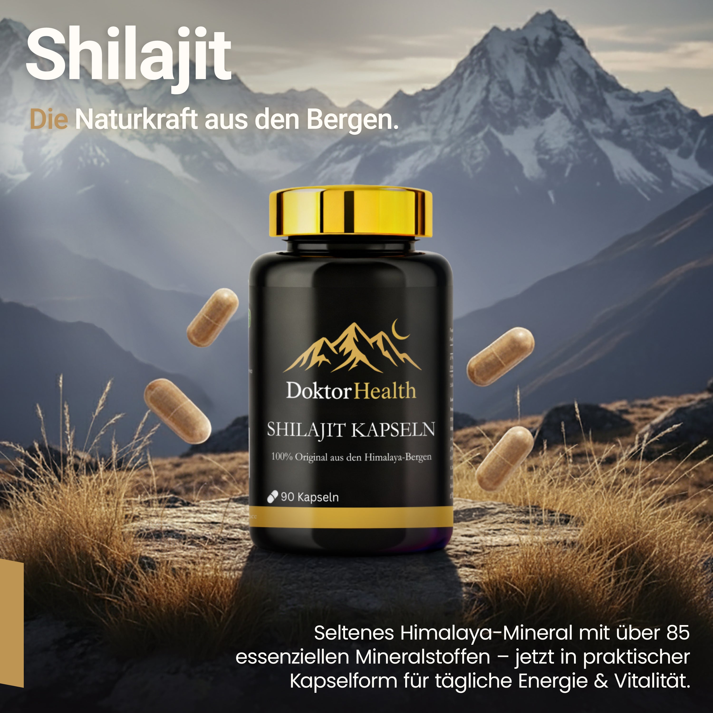 Premium Himalaya Shilajit Kapseln