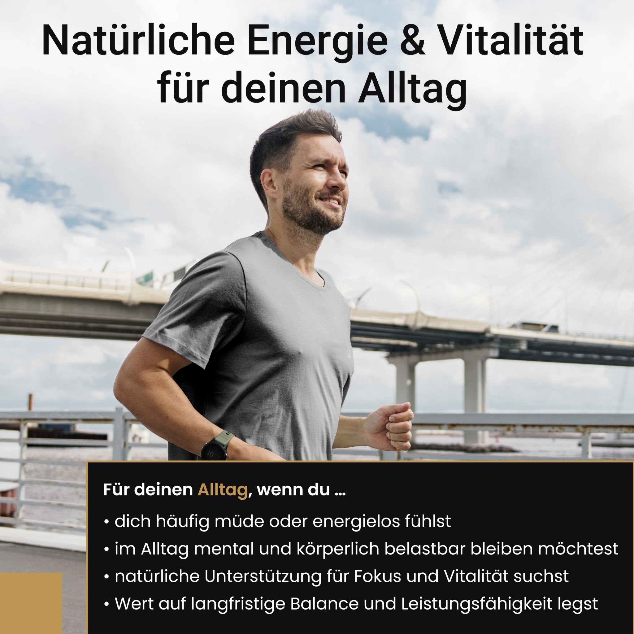 Premium Himalaya Shilajit - Doktor Health