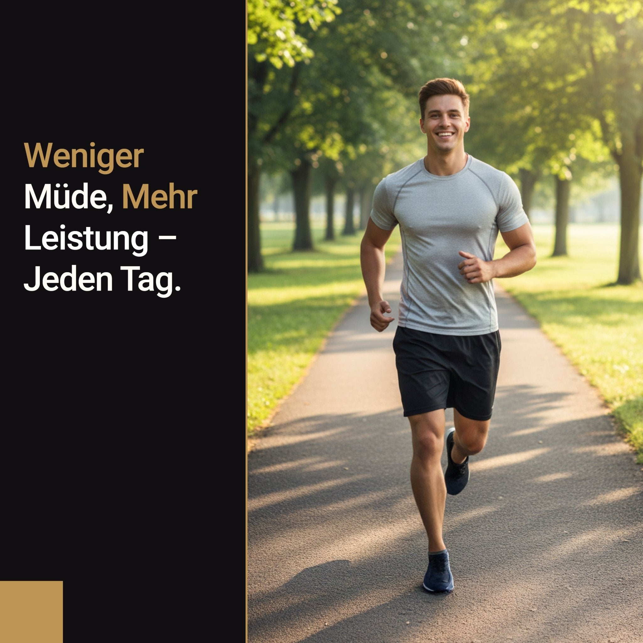 Premium Himalaya Shilajit Kapseln - Doktor Health